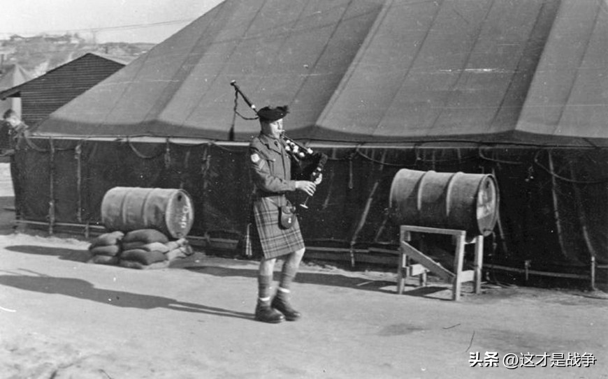 一个奇葩的国家完整版,一个奇葩的国家