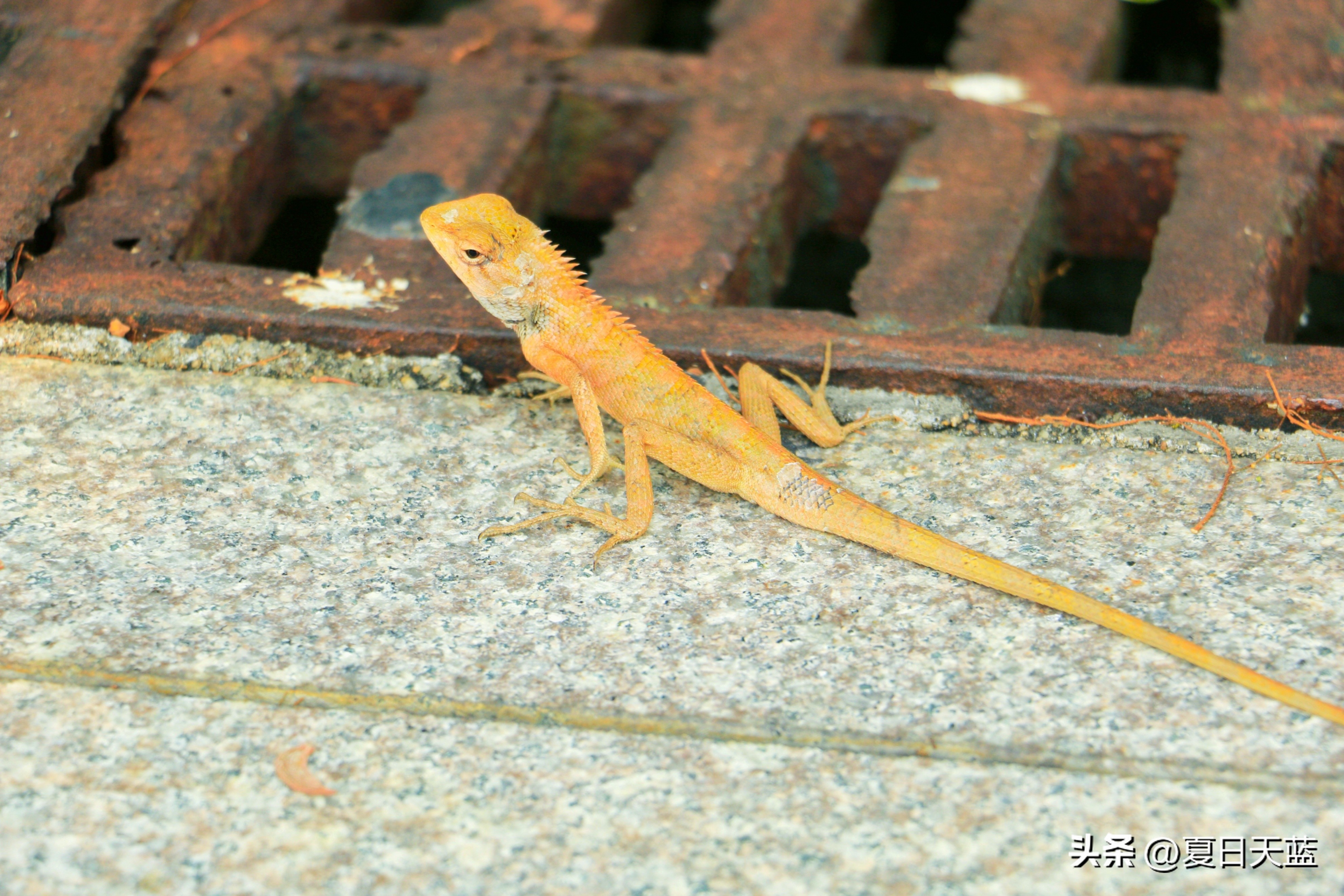 三亚度假最佳选择,三亚度假正确打开方式