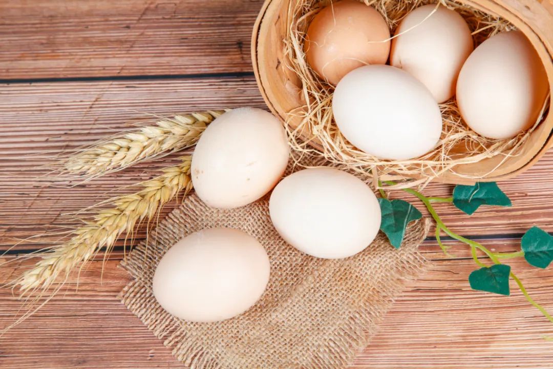 哪些鸡蛋最好吃,什么样的鸡蛋可以吃