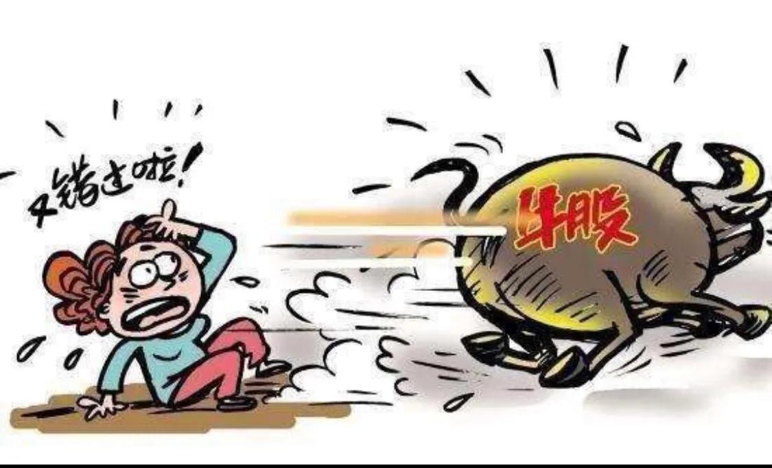 一位股票老兵的自述,一个老股民的股市心得