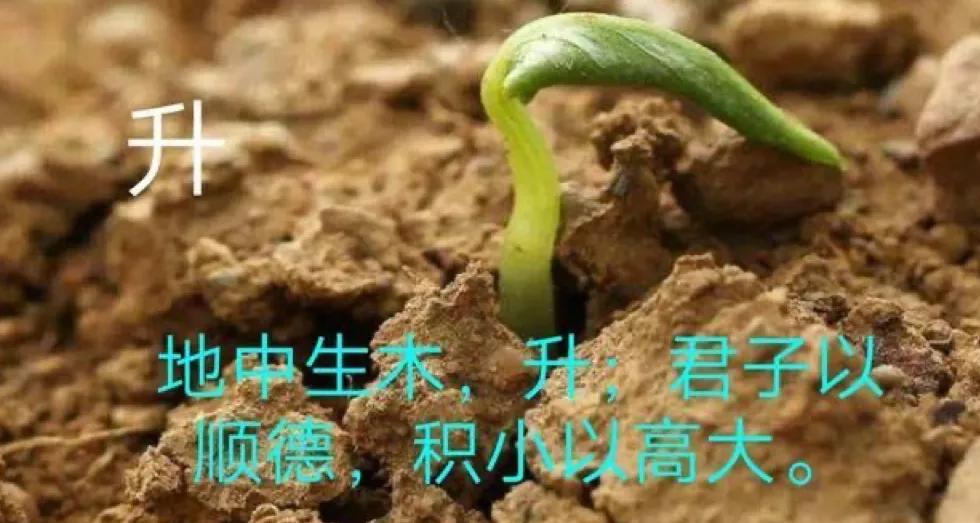 公文素质修养五个方面,公文写作经典16句