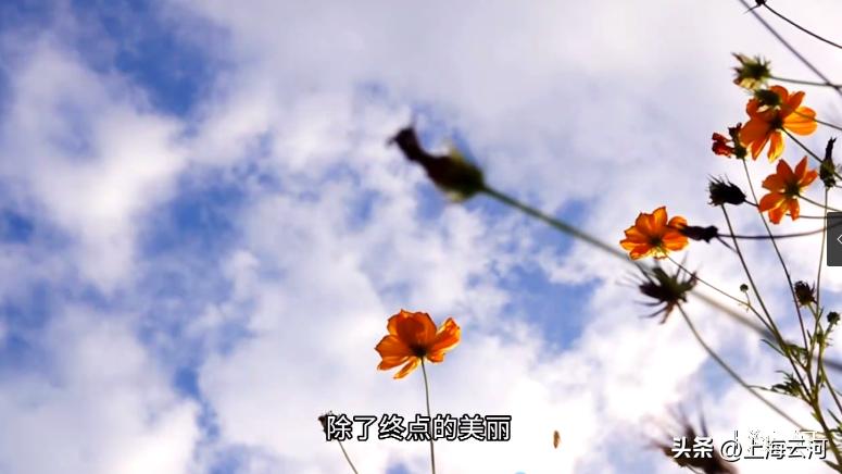 不讲诚信的人做什么生意,做生意讲诚信经营从不缺斤少两