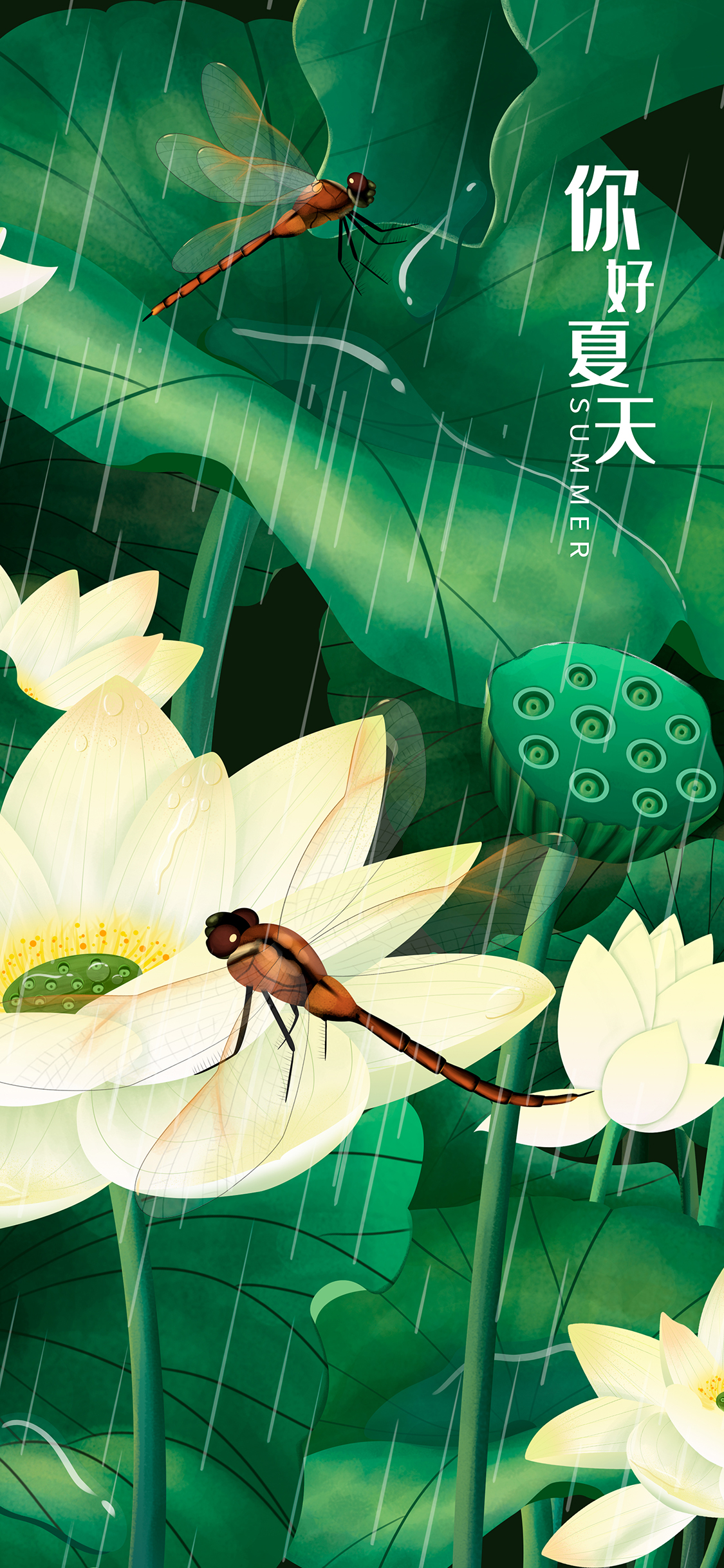 手机型号壁纸图片,169手机壁纸尺寸