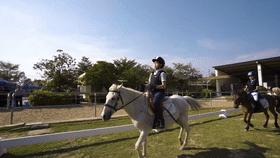 哈利·波特霍格沃茨存在吗,哈利波特中的霍格沃茨在哪里