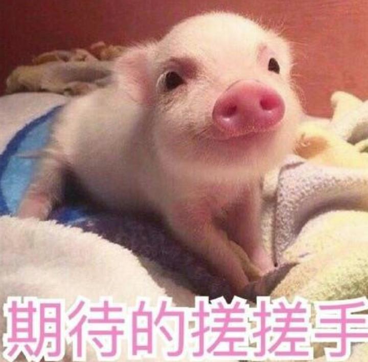 央视启航2022年跨年晚会节目单,2021各大卫视跨年晚会节目单揭晓