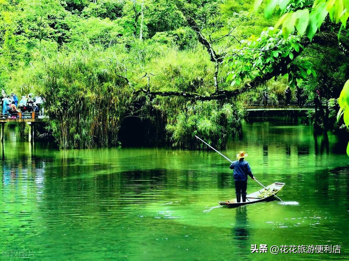荔波绿宝石一日游,荔波全年游客接待量