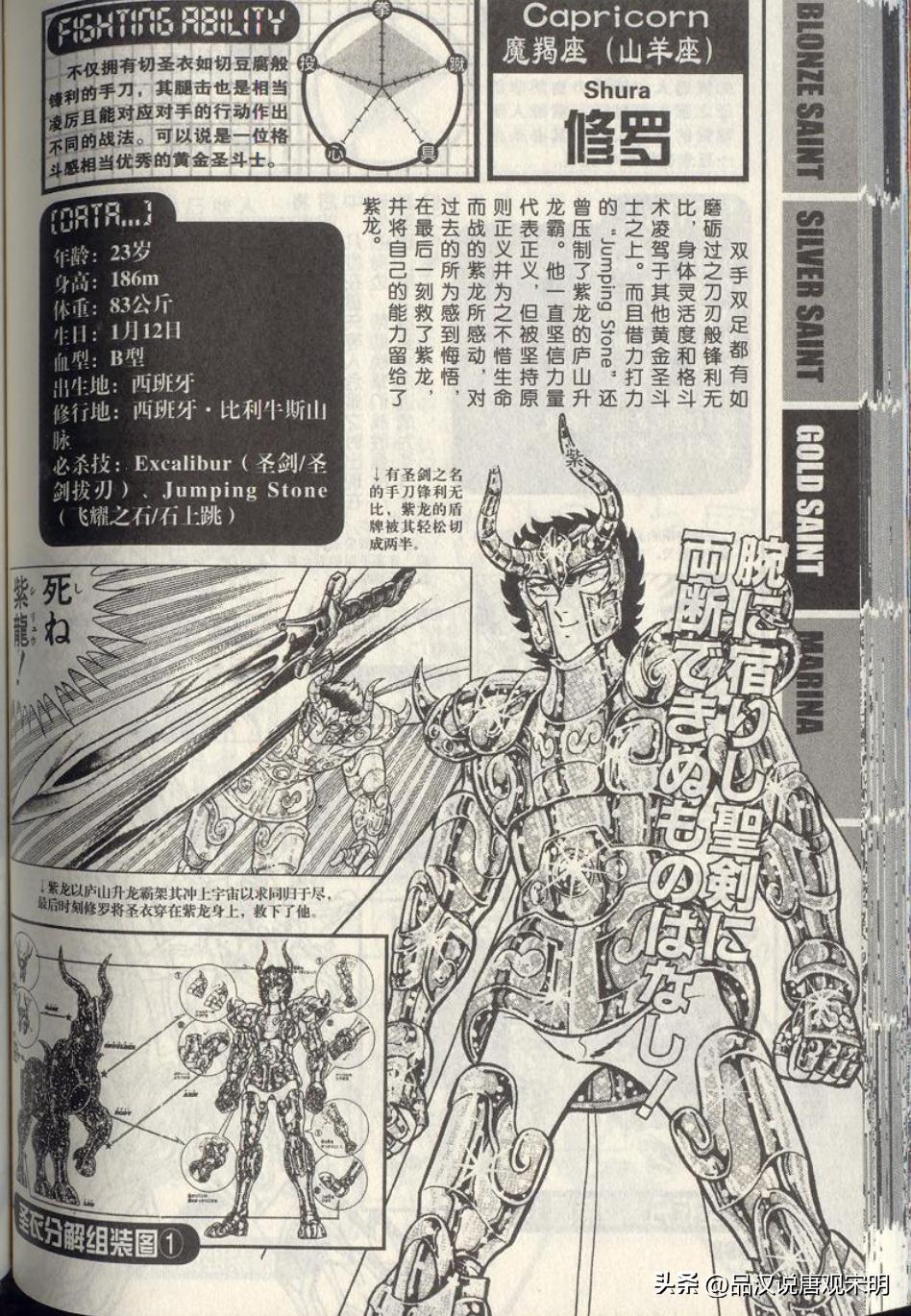 万字深度解读,万字全面解析