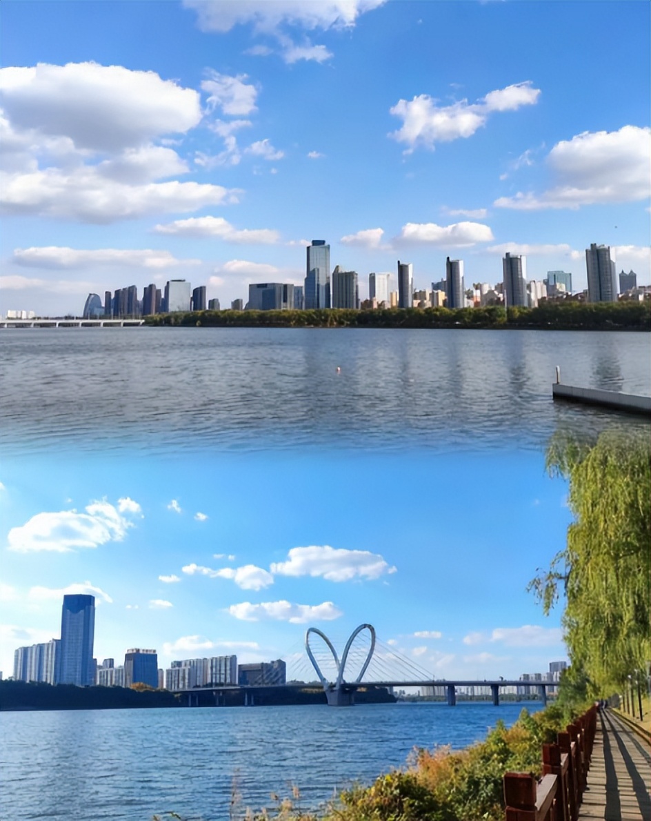 沈阳赏花公园推荐,沈阳附近杏花风景