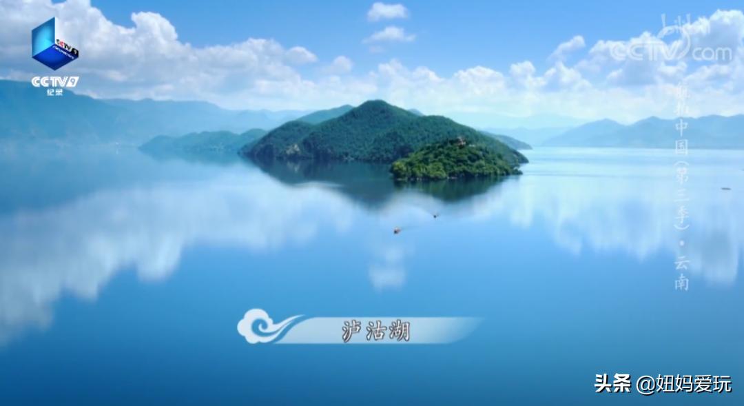 带你真切看人间的宝藏纪录片top10,十一长假适合带孩子看的纪录片