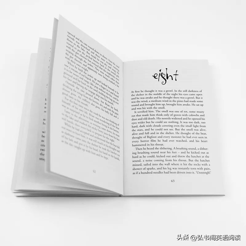 童书奥斯卡,童书大奖作品