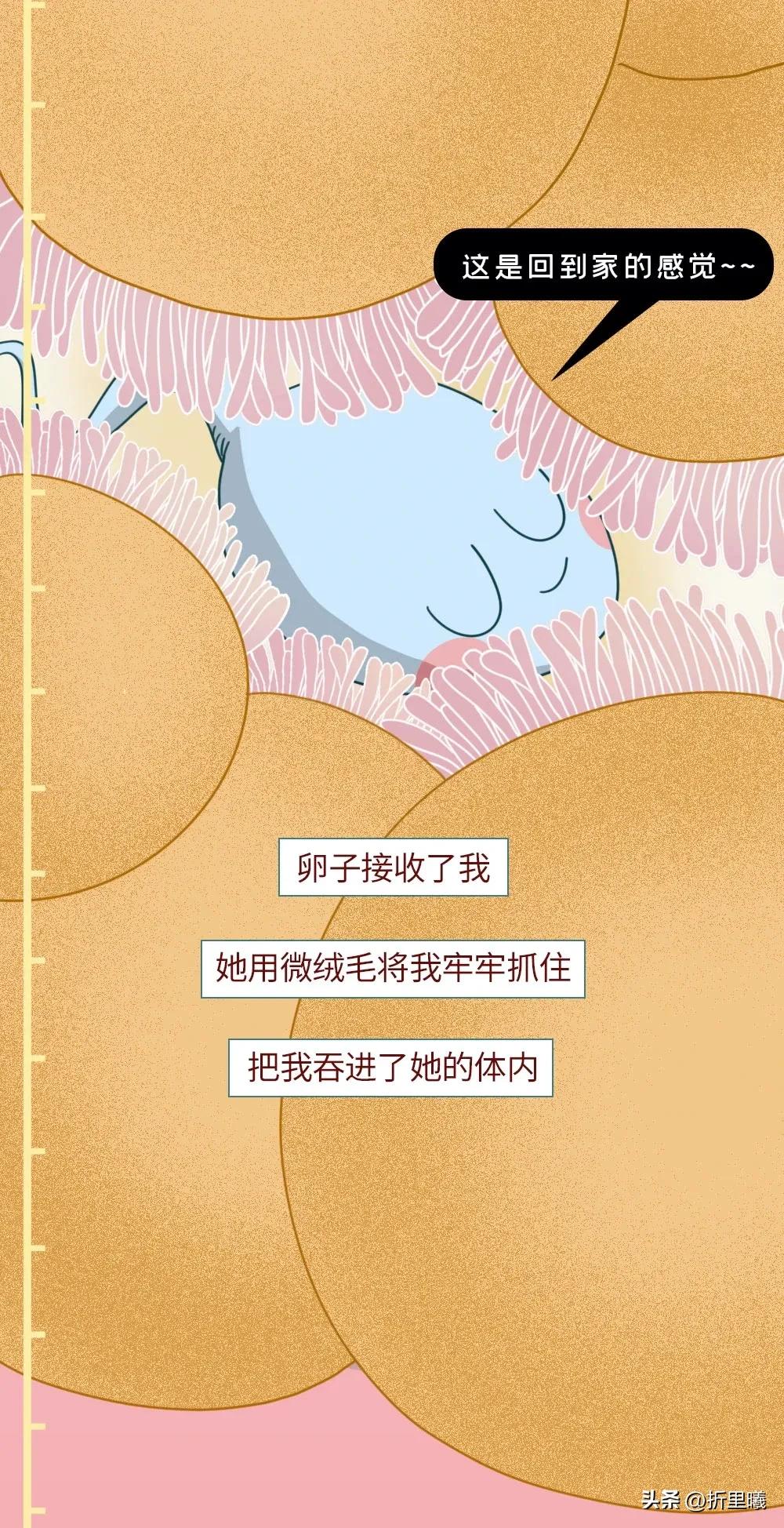 精子进入女生体内的24小时全过程曝光！