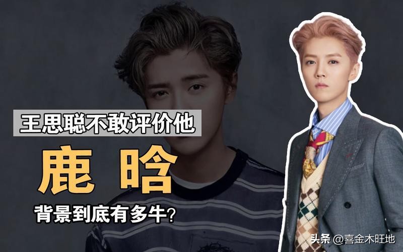 鹿晗身世的简介,王思聪对鹿晗的家世评价
