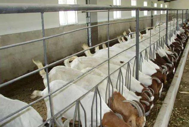 未来五年农村哪些行业比较赚钱,未来农村最赚钱的三大行业