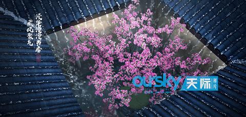 影片惊艳片段,电影精彩片段致敬