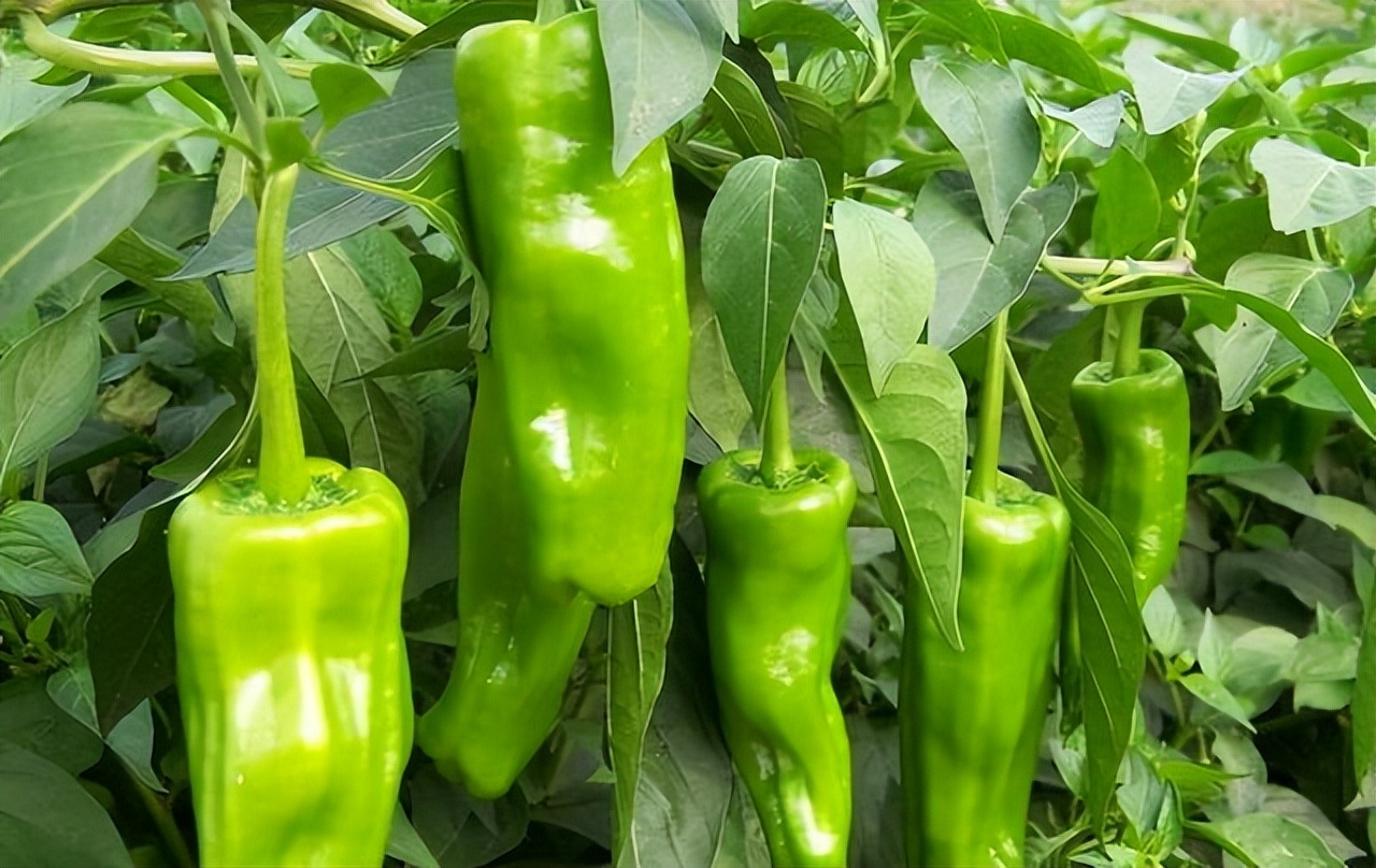 经常手麻的人要注意了,经常出现手麻这三个地方要注意啦