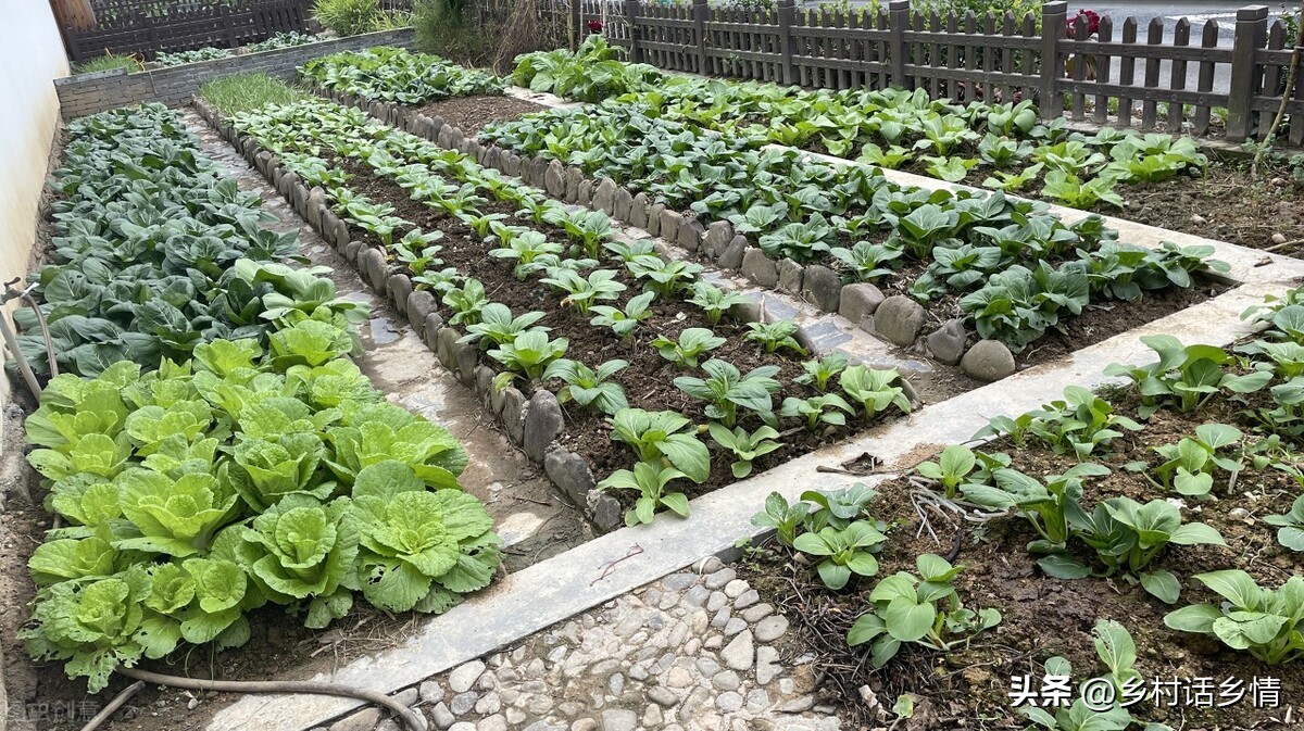 如果土壤没有蚯蚓有什么后果,土壤中蚯蚓越多越好是对吗