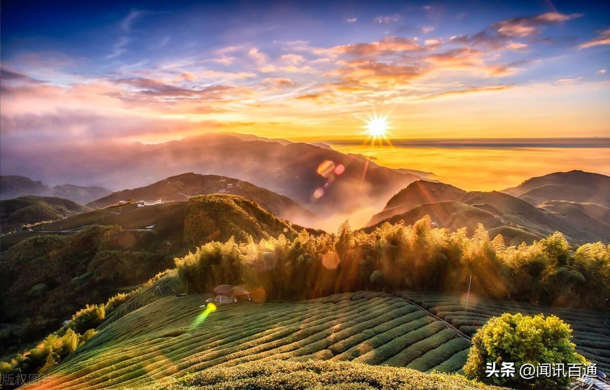 机器学习蒙特卡洛算法,蒙特卡洛优化算法