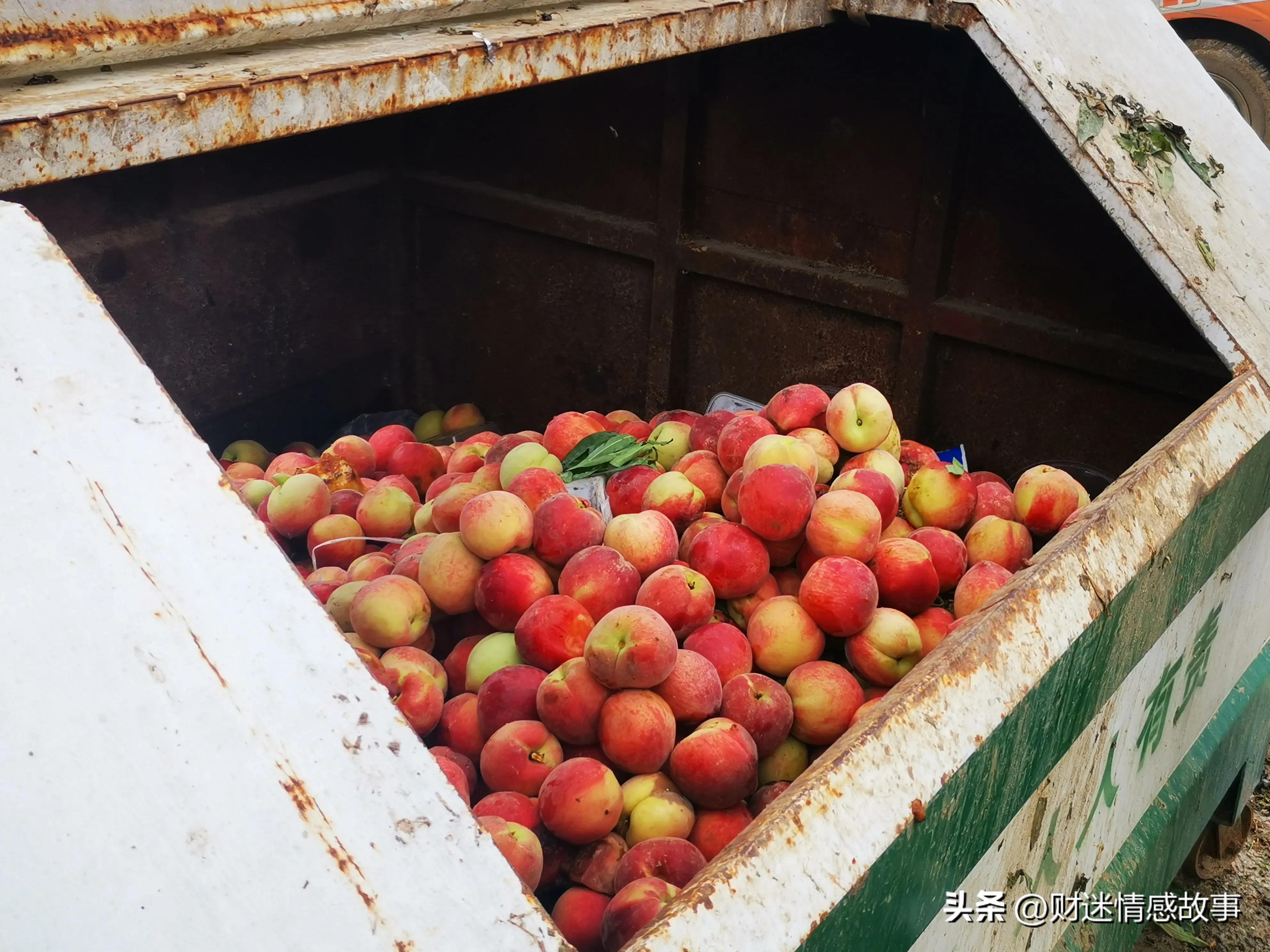 0投资快速赚钱方法大全,零投资如何赚钱最快的方法