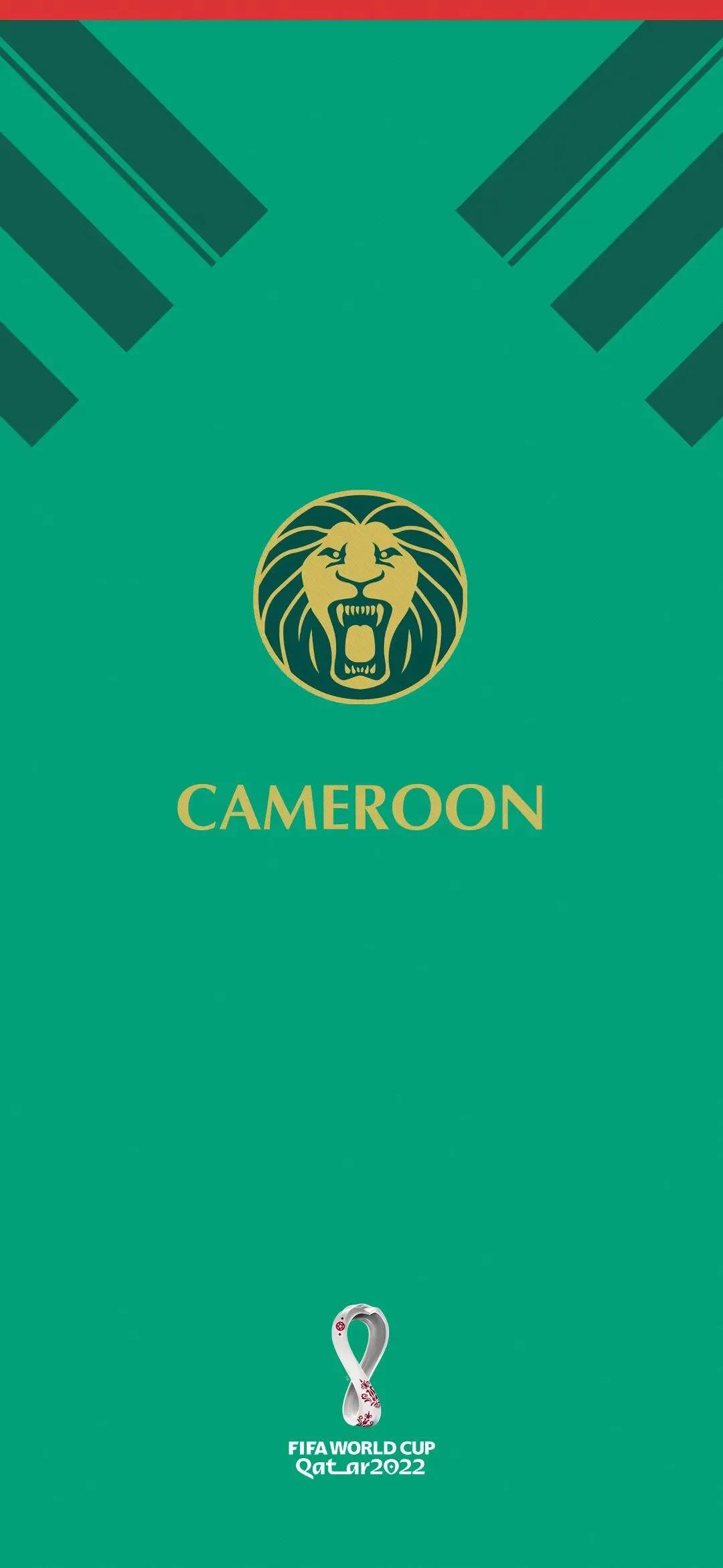 足球壁纸2020年,世界杯足球壁纸手机高清无水印