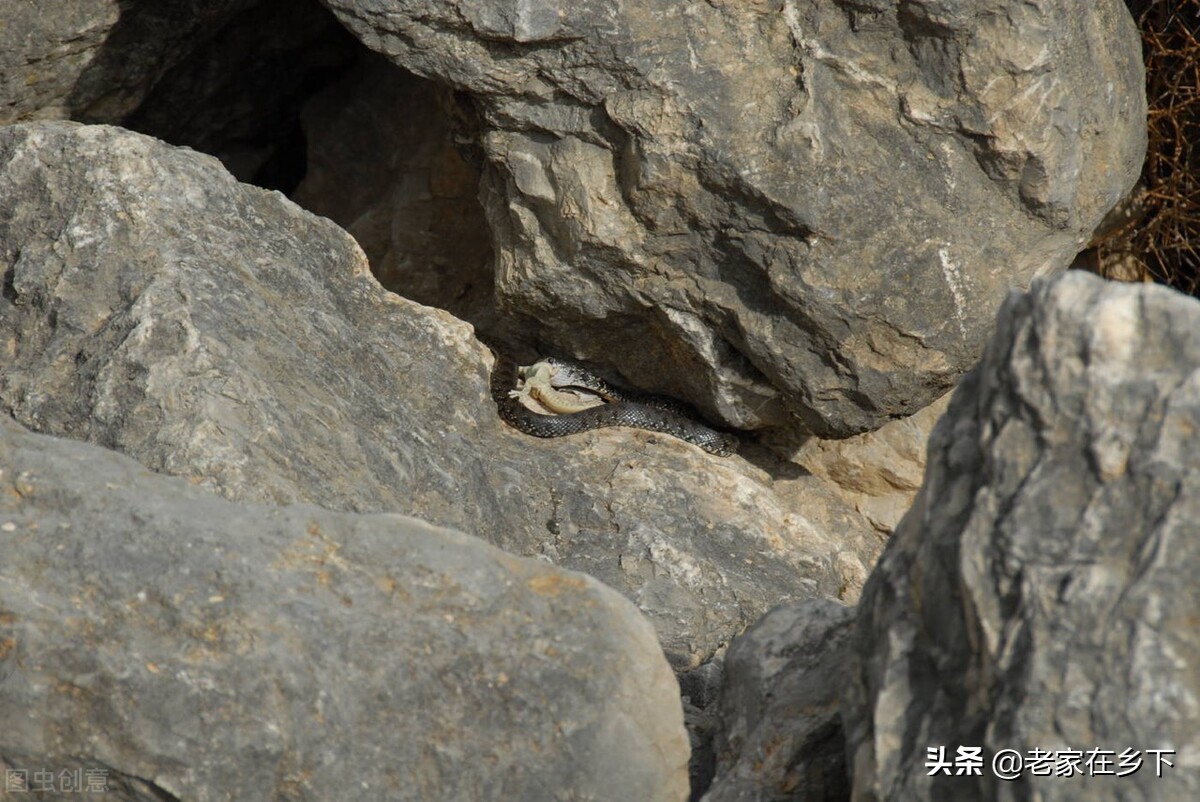 喇叭沟门原始森林最佳观赏区,喇叭沟门原始森林赏七彩秋景