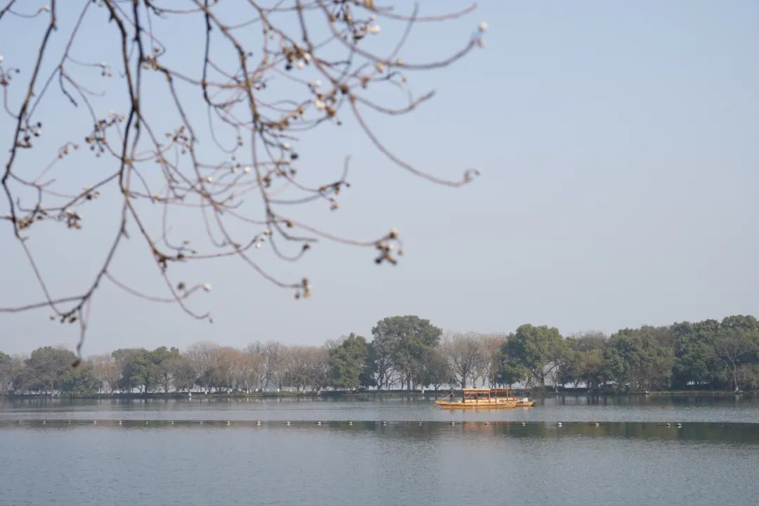 女人中年：我不配？