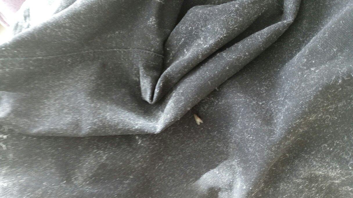 衣服清洗完后老粘毛,陈旧衣服如何洗焕然一新