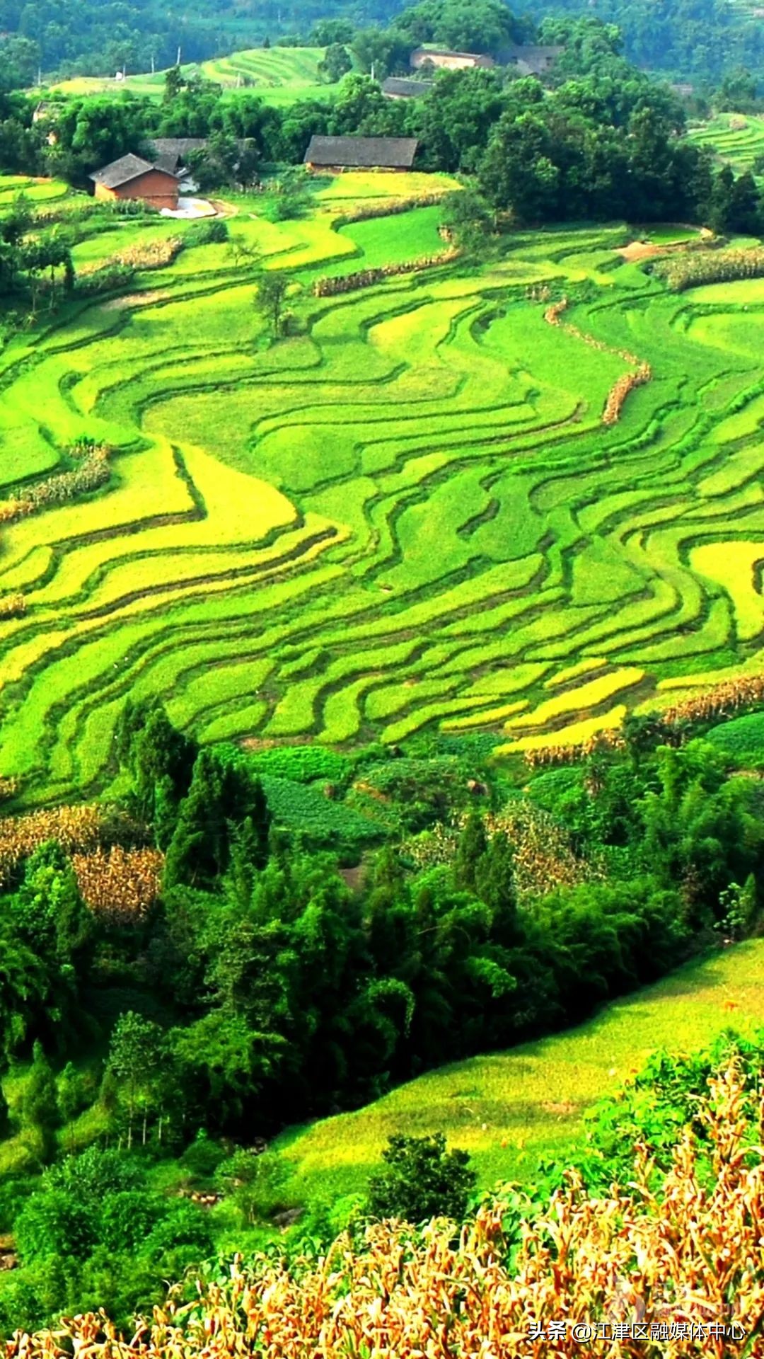 姹熸触鍥涢潰灞变竴鏃ユ父绾胯矾,姹熸触鍥涢潰灞辫嚜椹句竴鏃ユ父