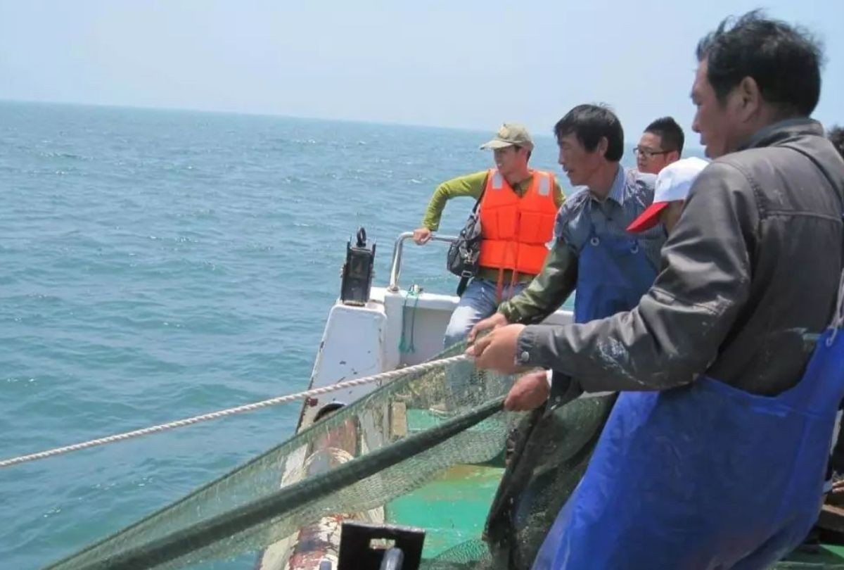 中国渔民海军霸气列阵,中国渔民捕捞武器