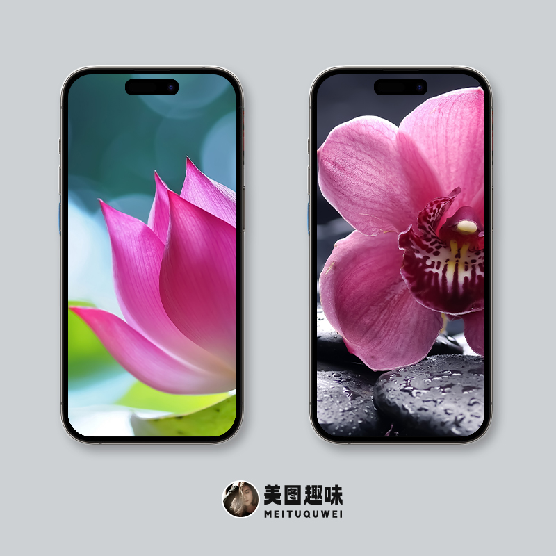 超清黑色花朵全面屏手机壁纸,苹果ios壁纸超清4k全面屏