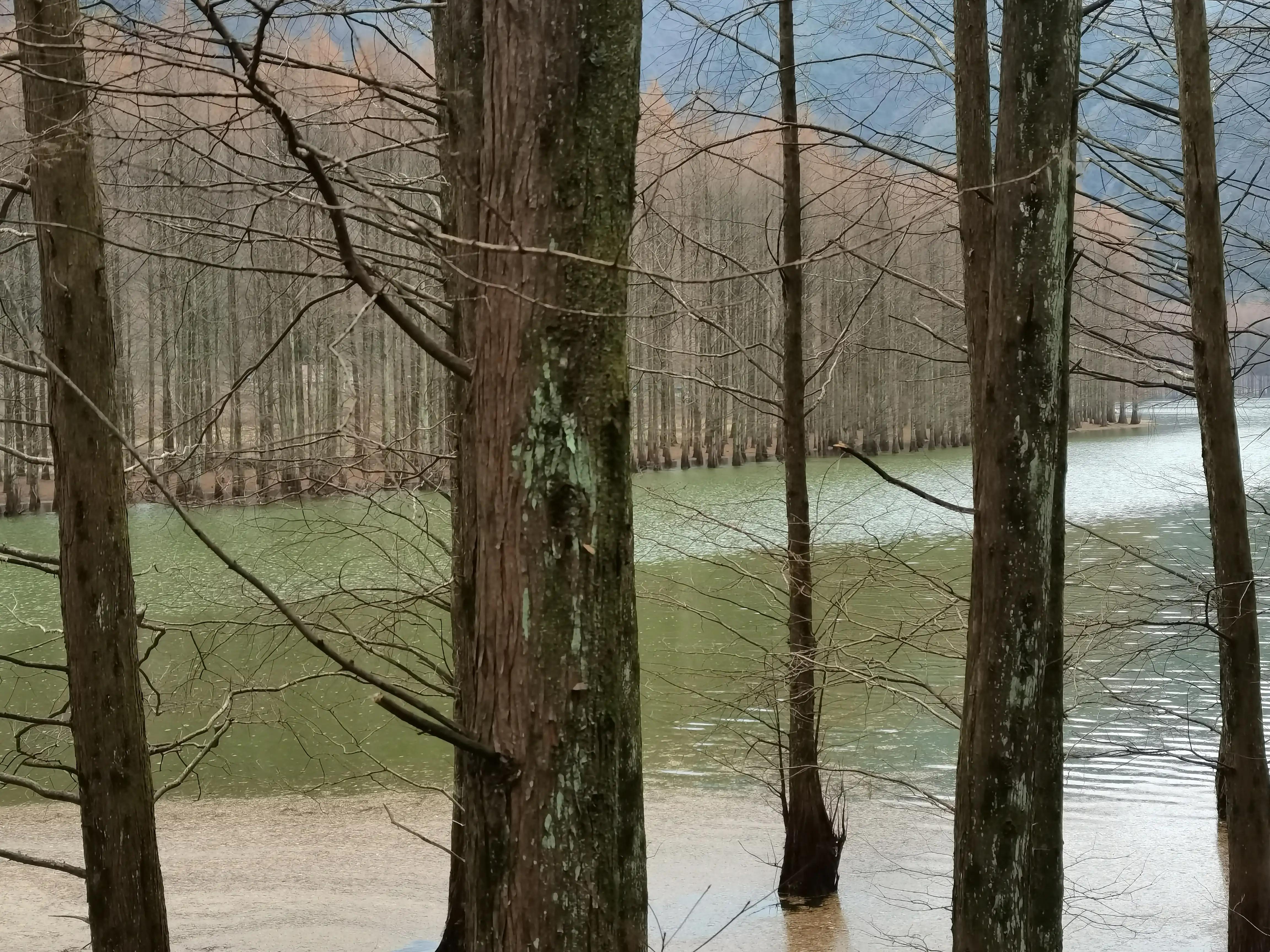 冬日里的汉中美景,南郑龙池秋色视频