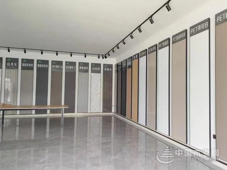 安氏亚森板材,安氏亚森衣柜