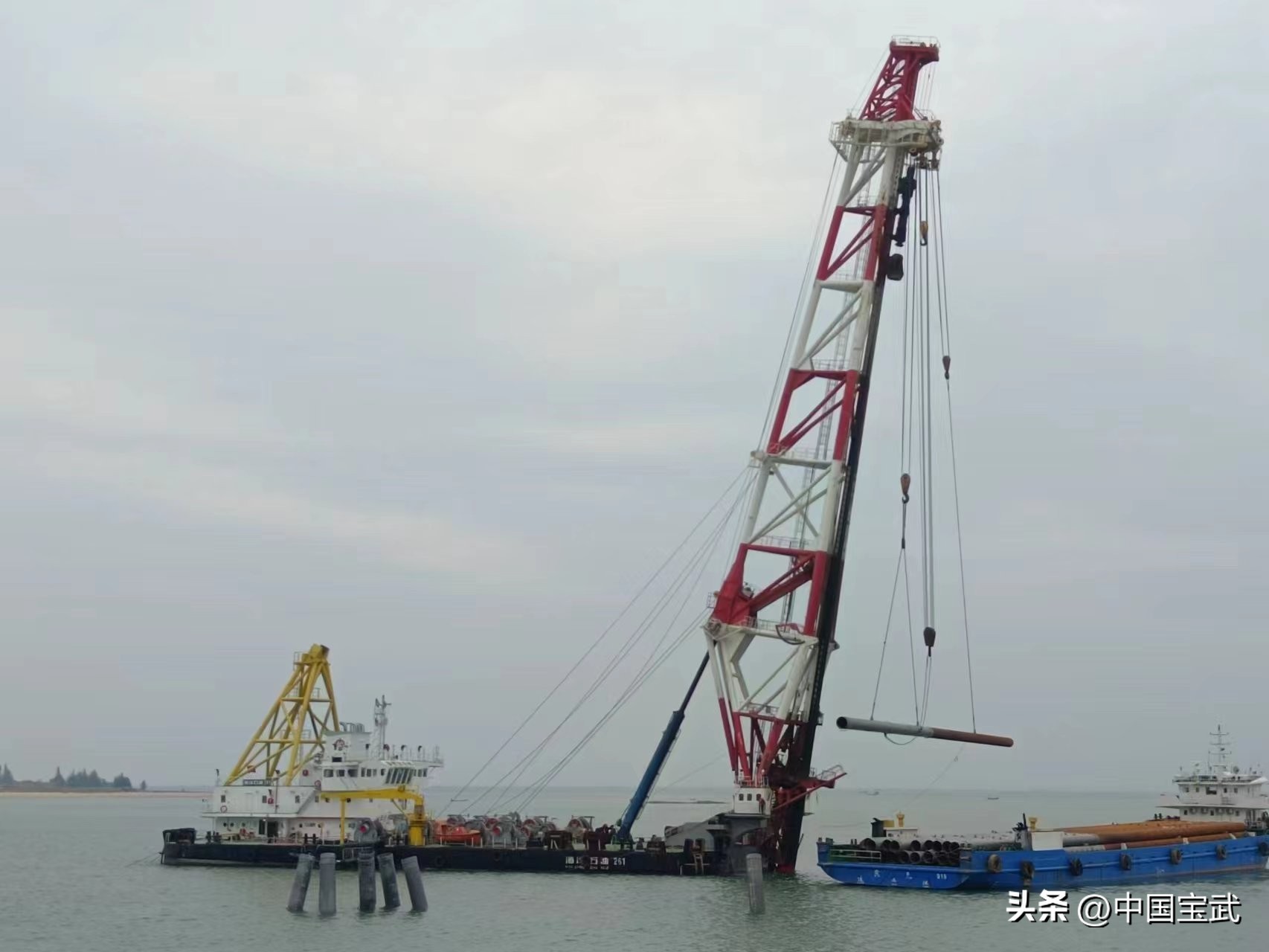 巴斯夫集团落户湛江会带来什么,巴斯夫落户湛江是好是坏