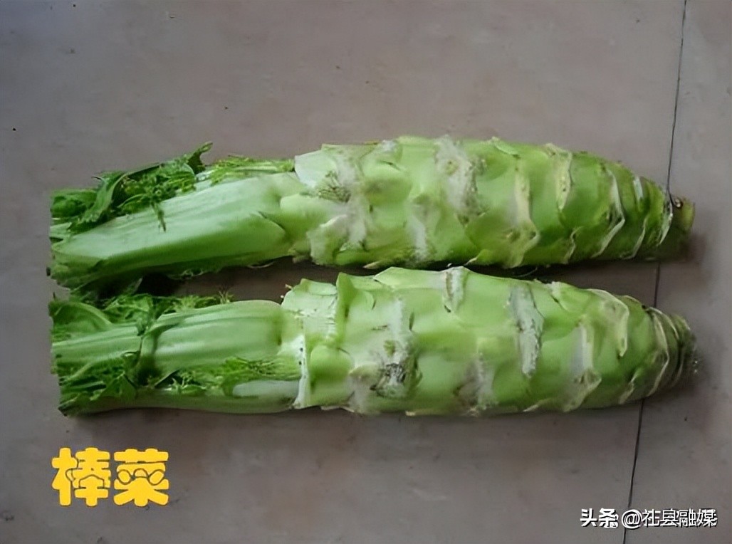盘点6种南方“特有”的蔬菜,南方特有的蔬菜是什么菜