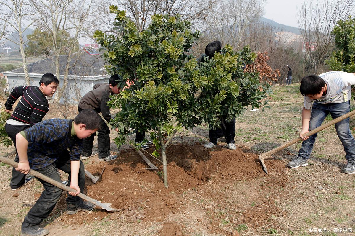农村电商十大暴利门道,农村未来10大暴利行业现状