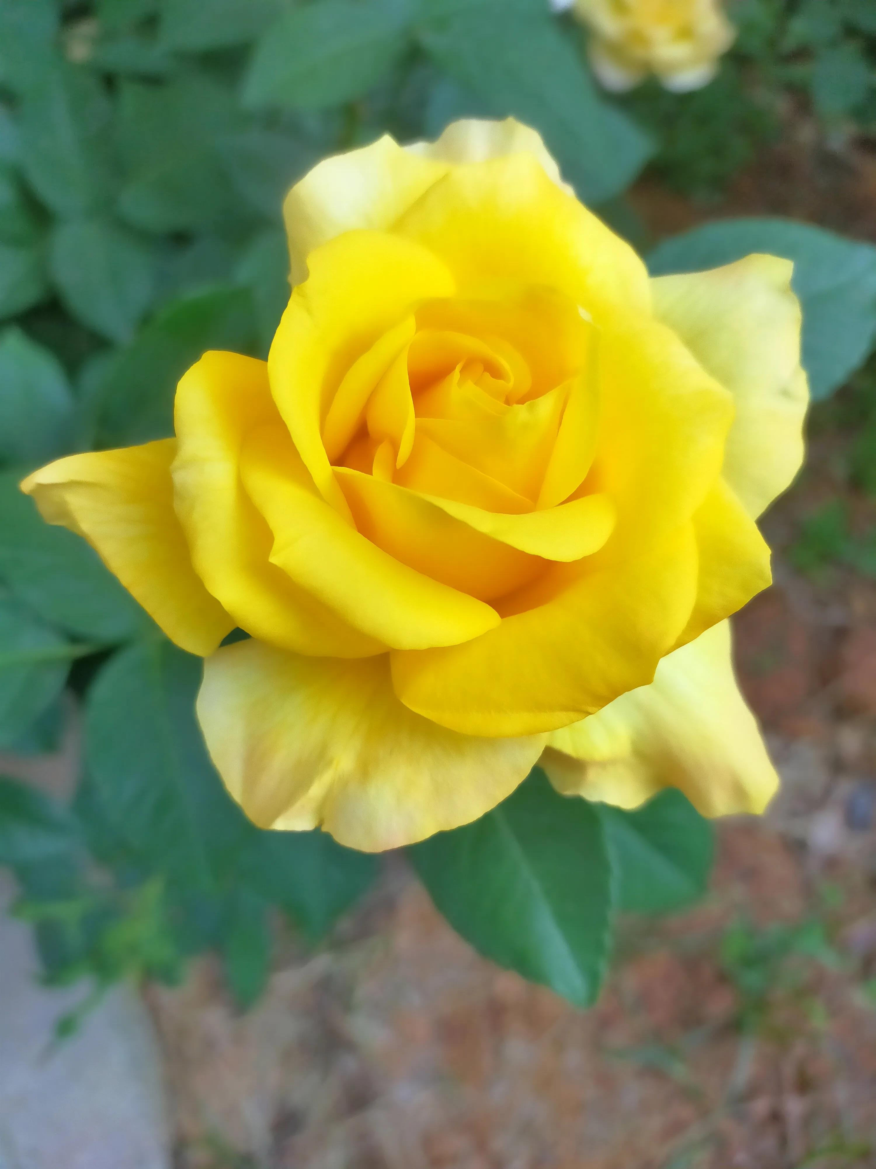 忘关车窗下雨进水的正确处理方式,汽车车窗忘了关淋雨了怎么办