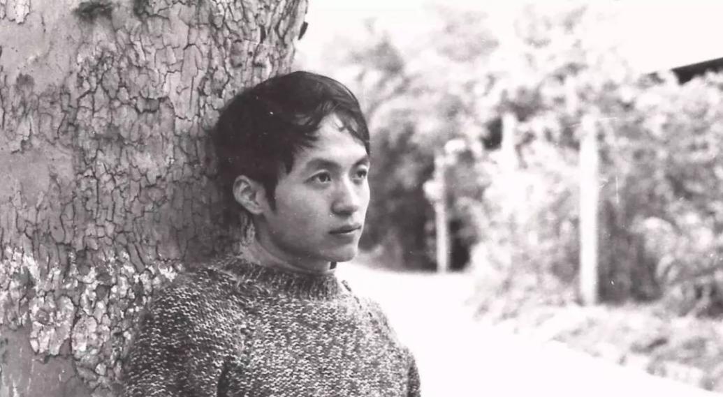 诗人顾城自杀事件,童话诗人顾城杀妻