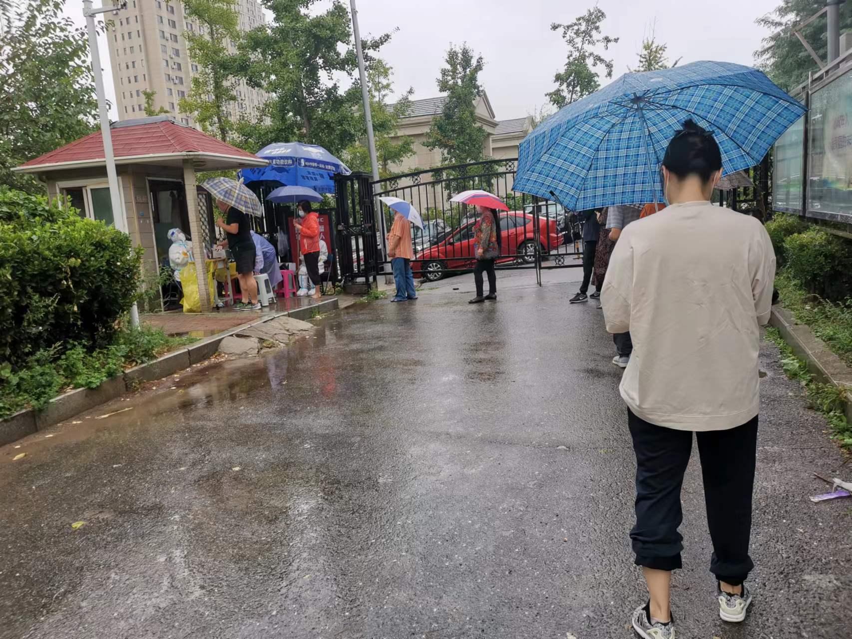 台风梅花来了作文,台风梅花上学