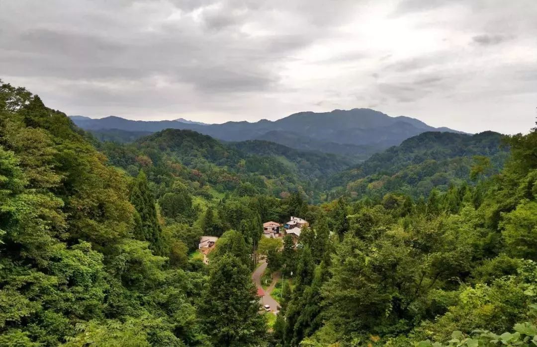 乡村改造创意工坊设计概念,极简乡村改造设计