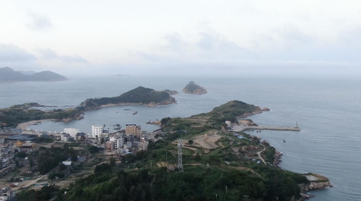 40亿大产业迎来“新势力”，新农人玩转海带经济