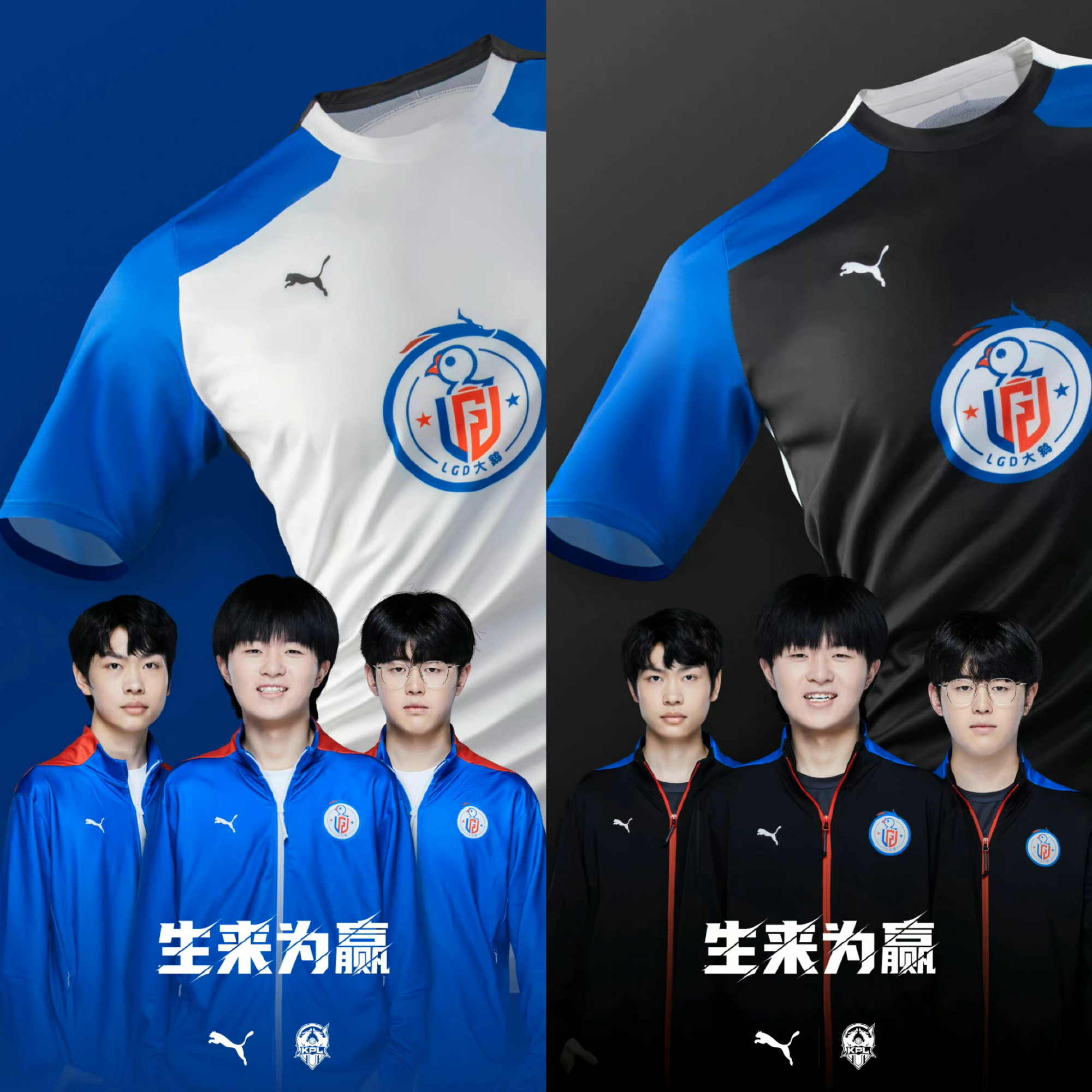 pumakpl新队服,kpl队服白金色puma