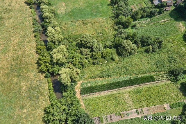 农村个人宅基地自建房国家政策,农村宅基地占用耕地政策