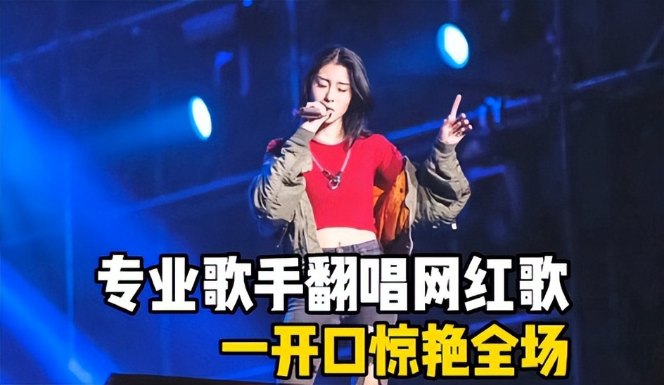 十大三观不正歌曲,三观不正的歌曲但很火