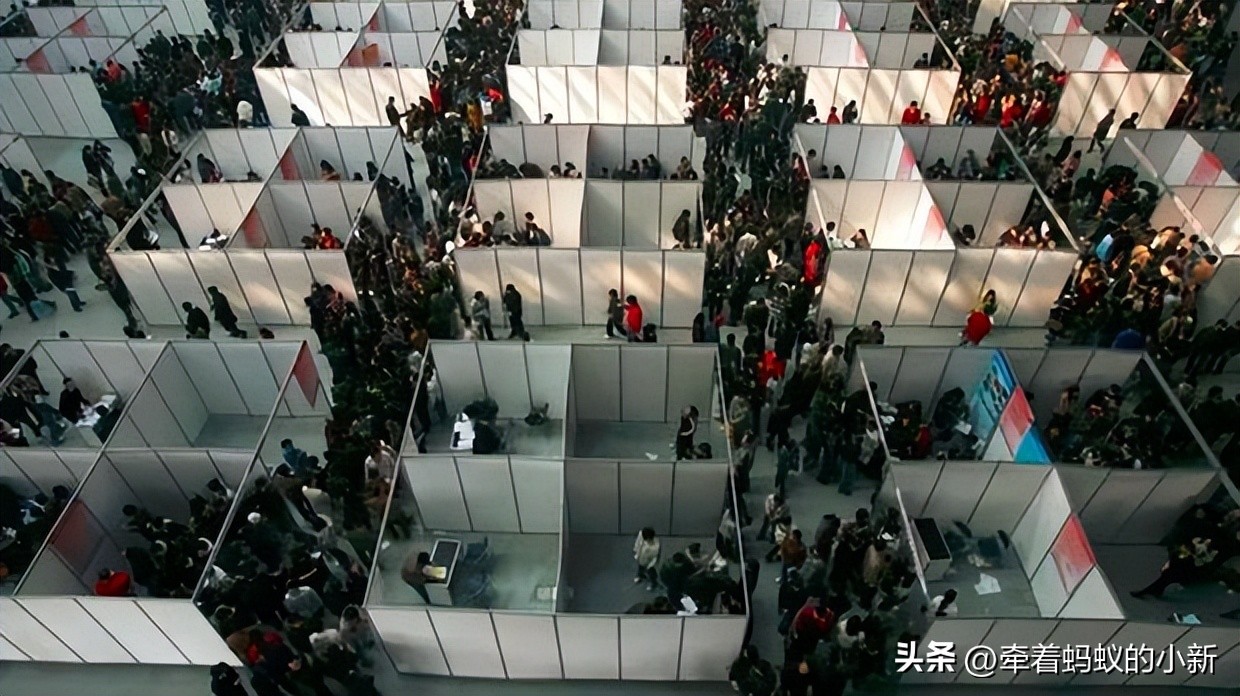 青年失业率高企，突破了20%，毕业生“慢就业”是妥协还是智慧？