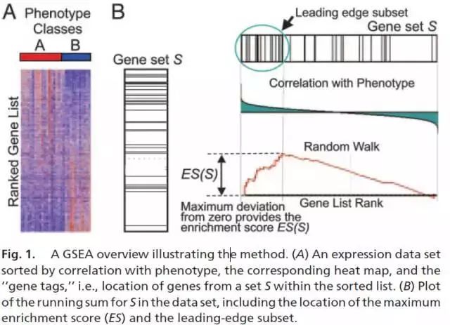 如何理解gsea,gsea安装使用教程