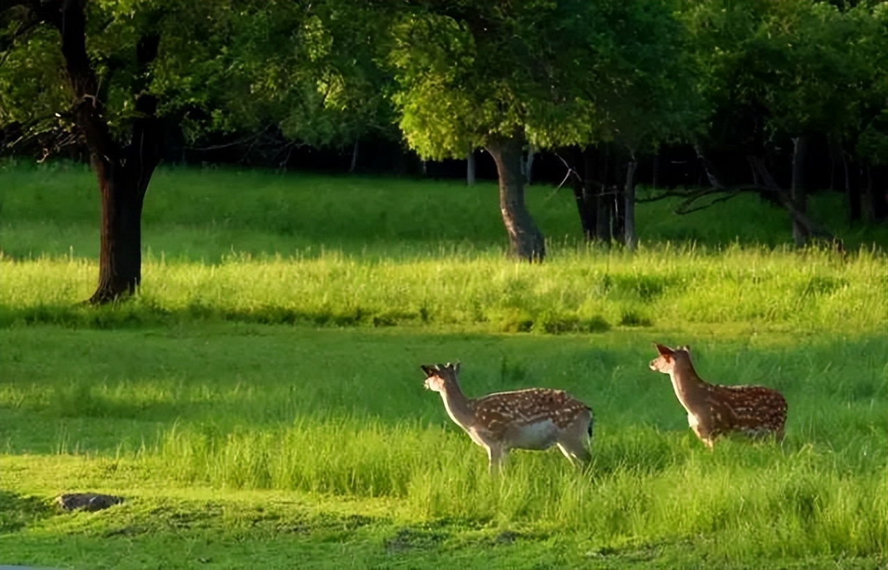 黑龙江省内自驾旅游线路推荐,黑龙江附近沿海城市开车自驾