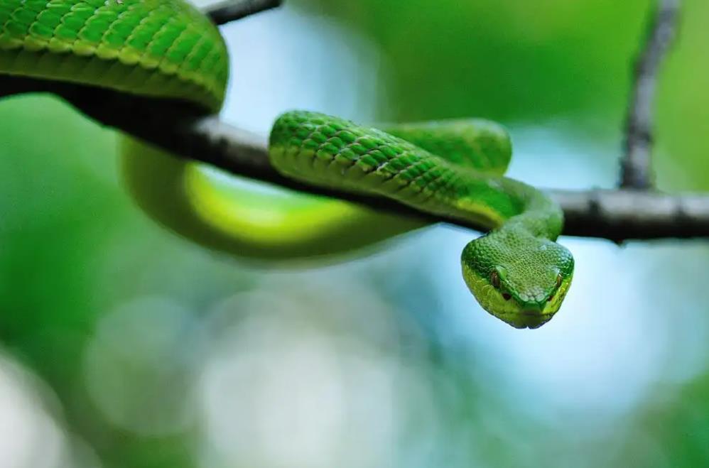 知道它的人不多，但四五十岁女性用了真的能淡纹，值得一看