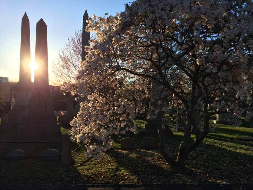 耶鲁大学建立的历史,耶鲁大学相当于我国哪所大学