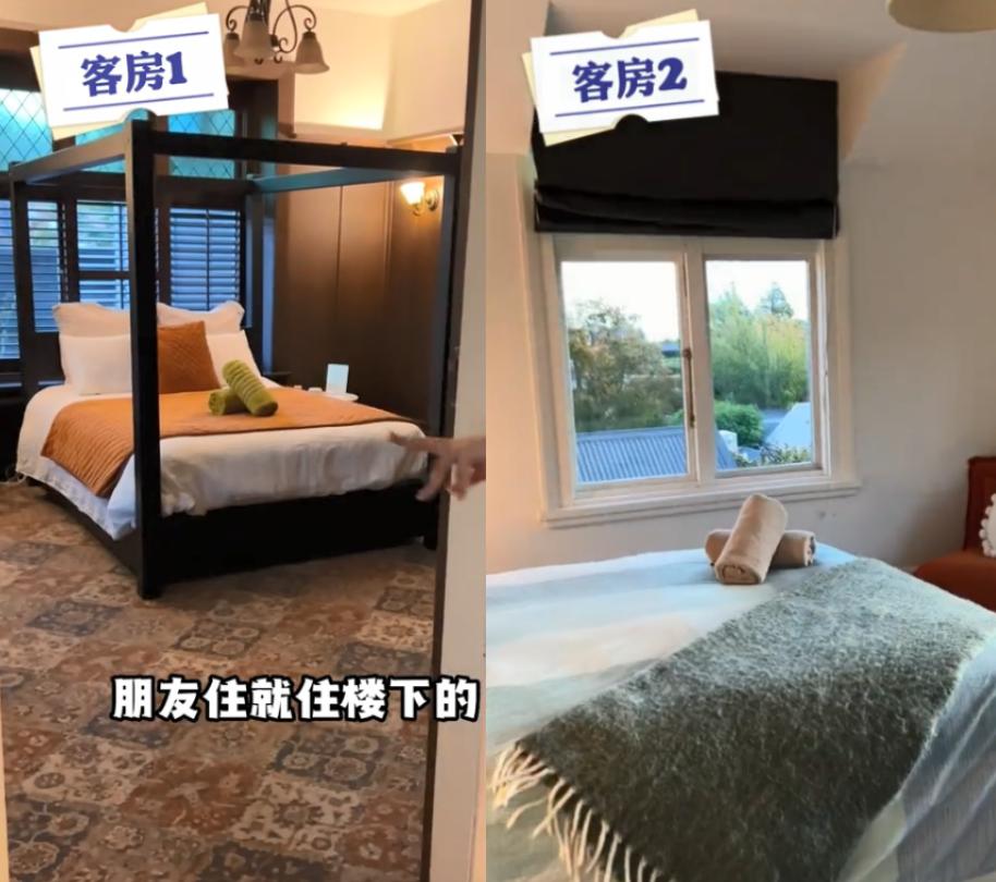 香港tvb陈嘉佳直播,香港陈嘉佳直播