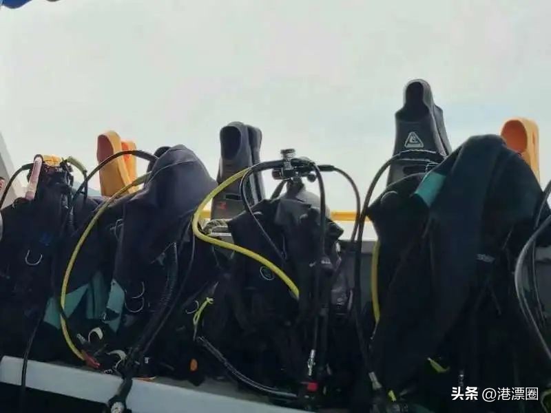 在香港还有人没潜过水？那你一定要看