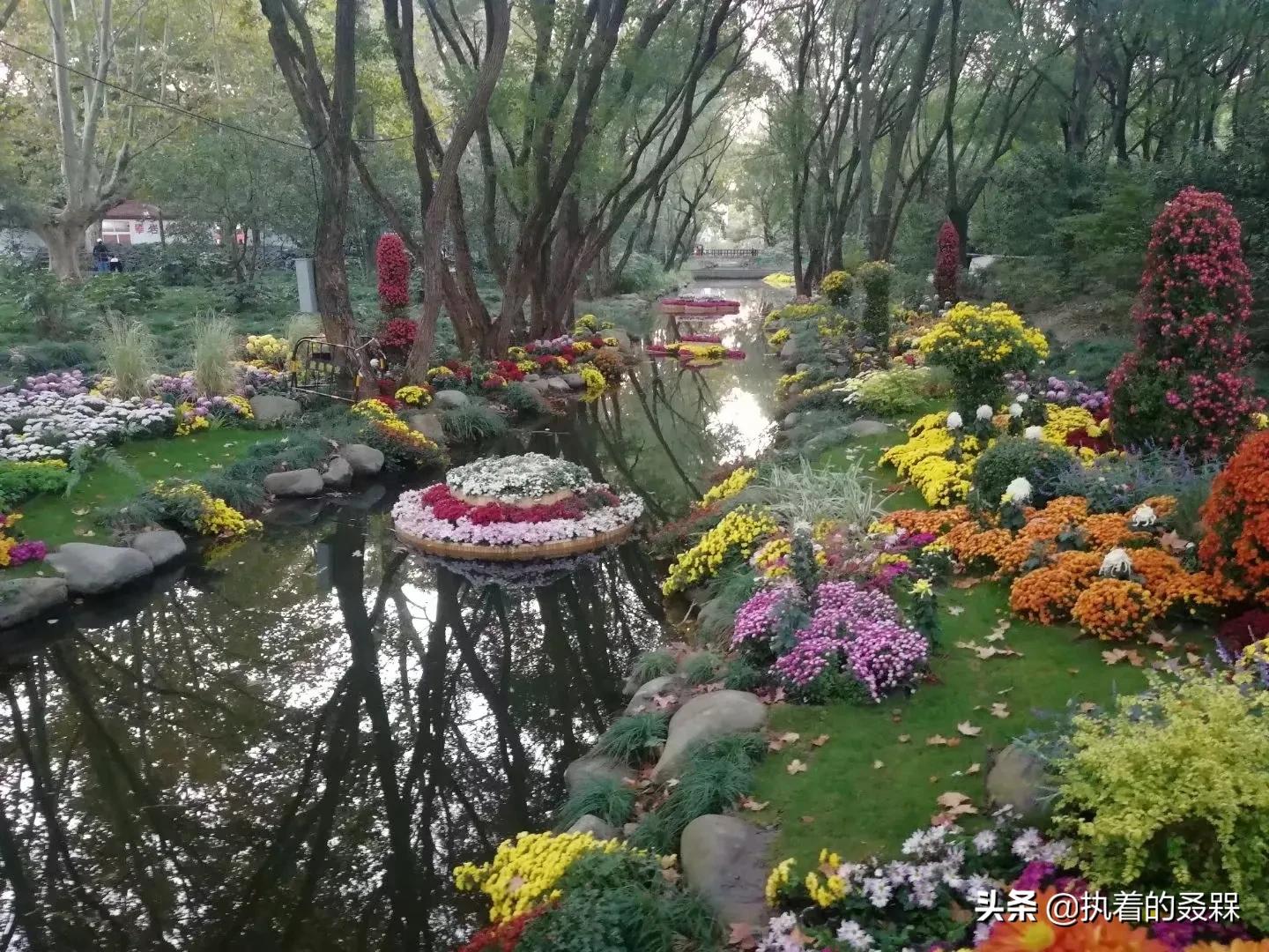 上海杨浦必逛景点有哪些,上海市普陀区旅游图